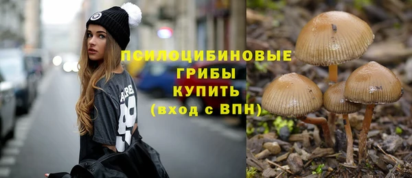 ПСИЛОЦИБИНОВЫЕ ГРИБЫ Верея