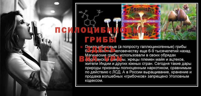 кракен ССЫЛКА  даркнет официальный сайт  Псилоцибиновые грибы MAGIC MUSHROOMS  Каспийск 