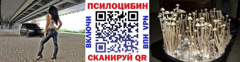Псилоцибиновые грибы MAGIC MUSHROOMS  Каспийск 
