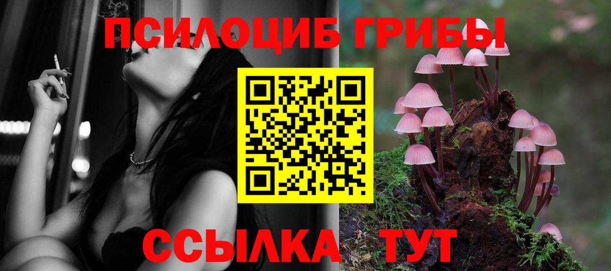 продажа наркотиков  Вход с VPN  Псилоцибиновые грибы ЛСД  Каспийск  Галлюциногенные грибы Psilocybine cubensis 